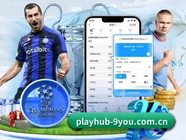 playhub-9you.com.cn APP